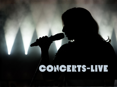 Concerts Live - Animation du Salon Vintage de Blavozy 14–16 novembre 2025